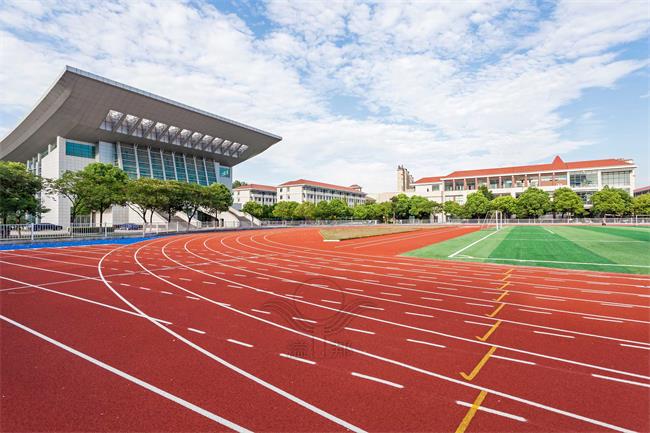 全塑型SPU跑道：从设计观念到实际应用的综合剖析
